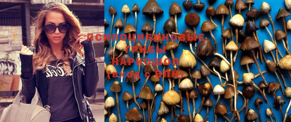 кокаин Медвежьегорск