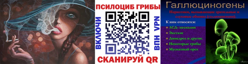 купить наркотик  Дзержинск  Галлюциногенные грибы ЛСД 