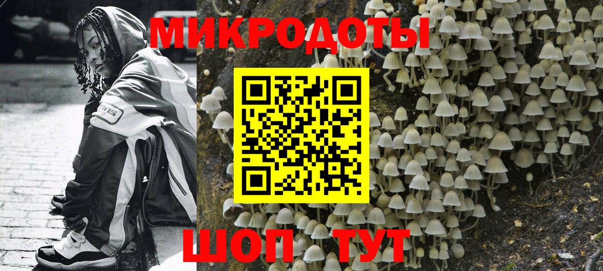 Галлюциногенные грибы Cubensis Дзержинск