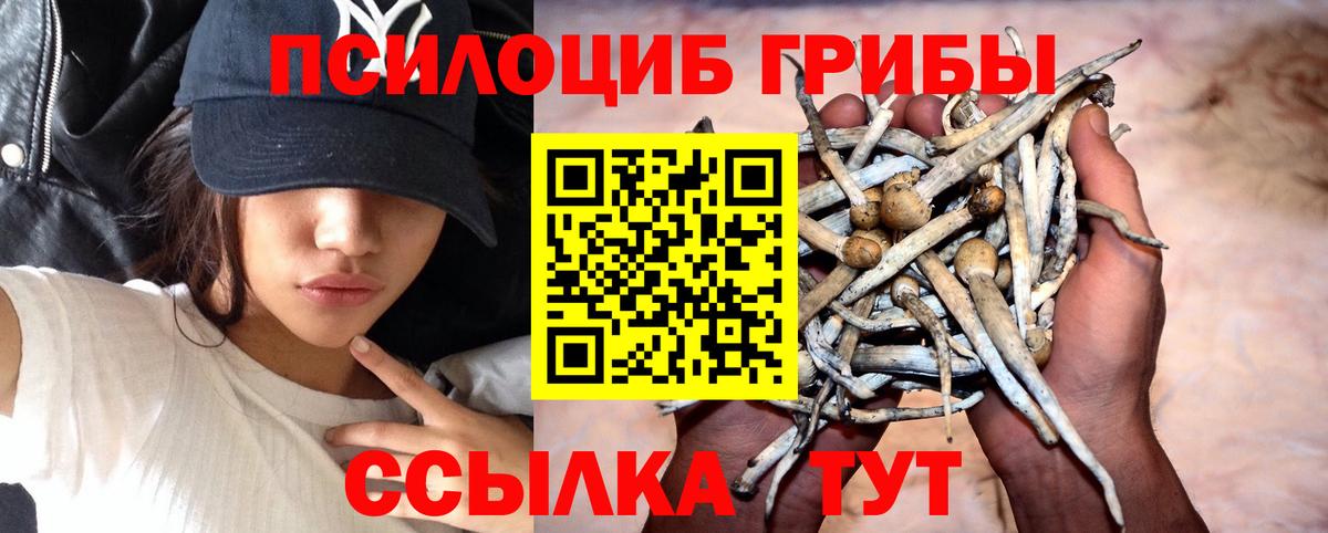 Галлюциногенные грибы мухоморы  Вход с VPN  Дзержинск 