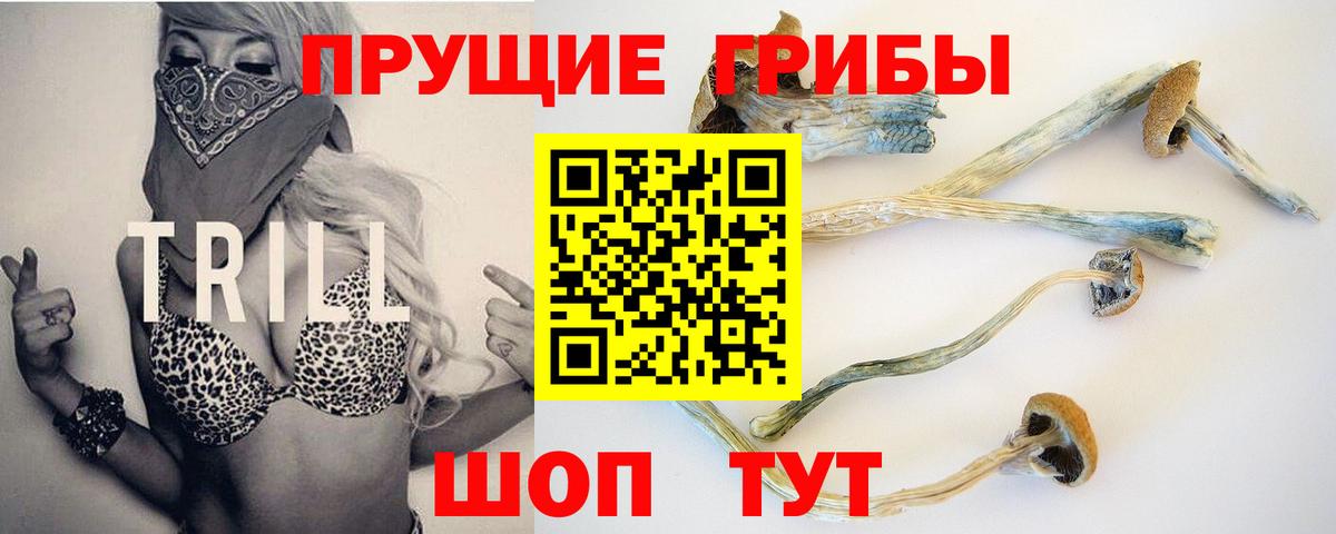 Псилоцибиновые грибы Cubensis Дзержинск